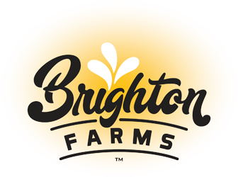 Brighton Farms
